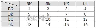 Tabel keturunan F2 dari persilangan BBKK x bbkk, tabel soal no. 34 IPA SMP UN 2018