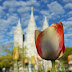 Salt Lake Temple - Scott O