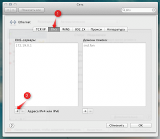 Отметье пункт DNS и нажмите кнопку +.