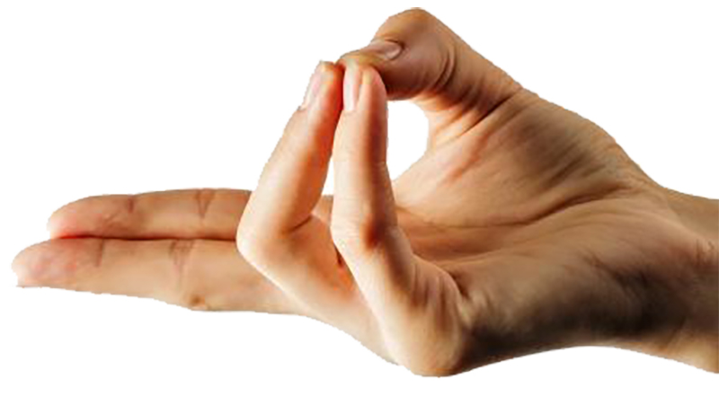 Prana Mudra