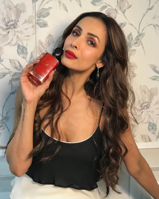 Malaika Arora strikes a stunning pose, showcasing her timeless beauty and sophisticated allure in the latest breathtaking photos.