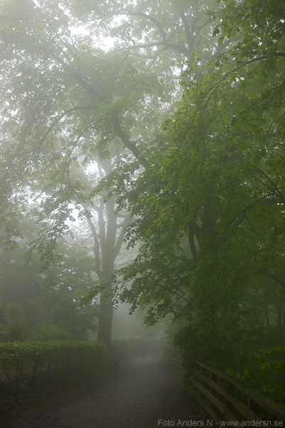 utsikt, utsiktspunkt, utsiktsplats, haut-konigsberg, königsberg, Château du Haut-Kœnigsbourg, castle, mountain, berg, slott, borg, borgruin, colmar, alsace, dimma, fog, vogeserna, dimmigt