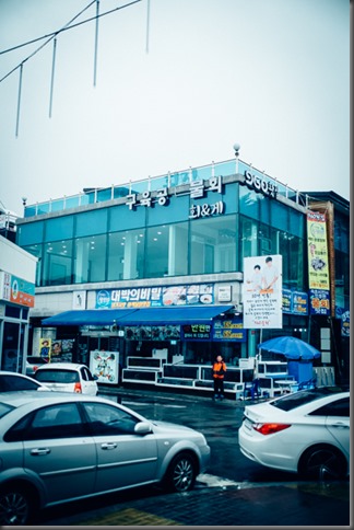 DSCF5548