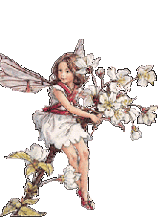 My Fairy Name