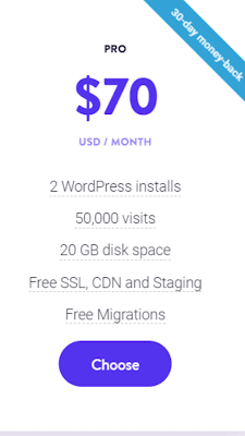 Kinsta Pro Plan and Pricing