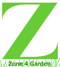 Zone 4 Garden(ing) - Where Everything Is Green: Annuals in the garden