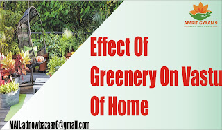 Effect Of Greenery On Vastu Of Home