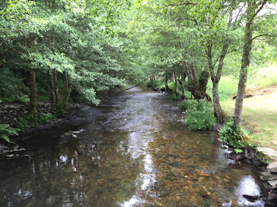 Spain, Marronda forest and the Eo River   by E.V.Pita (2015)  http://evpita.blogspot.com/2015/06/spain-marronda-forest-and-eo-river.html   Fraga de Marronda - río Eo (Baleira, Lugo)  por E.V.Pita (2015)