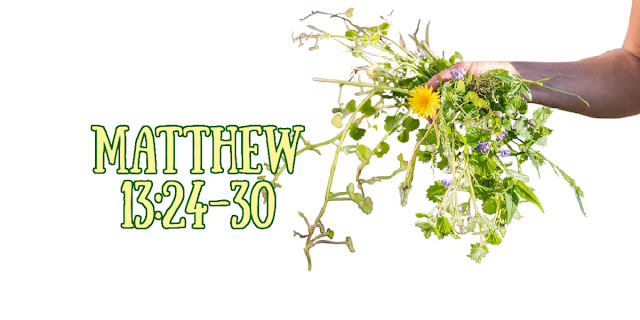Scripture tells us that there are "weeds" in the church. Why should we be aware of this important truth? This devotion explains.