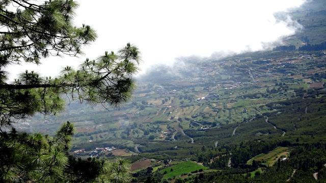 tenerife, teide, orotava valley