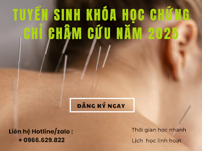 Tuyển sinh khóa học chứng chỉ châm cứu năm 2025 tại Huyện Xuân Lộc - Đồng Nai