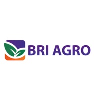 Logo PT Bank BRI Agro