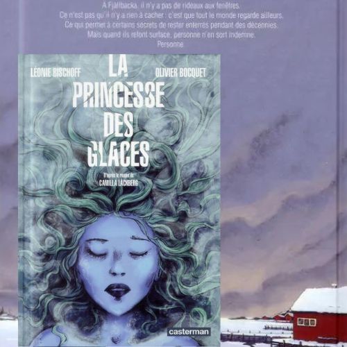 la-princesse-des-glaces