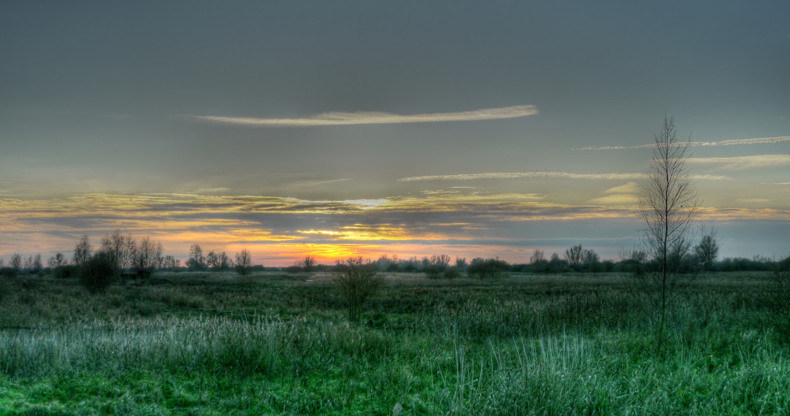 P1210779_80_81_tonemapped.jpg