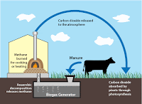 biogas-production-cycle