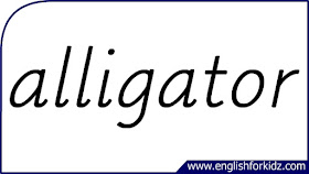alligator flashcard, single word, English flashcards for kids