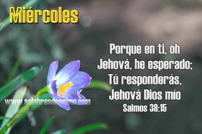 Miércoles Porque en ti oh Jehová he esperado