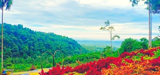 Bukit dama batang view laut di ketinggian