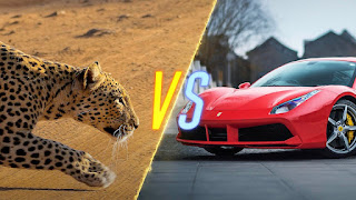 استخدام حيوان الفهم من الأمثلة الشهيرة بين براندات السيارات للتأكيد على مدى سرعة السيارة