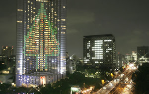Illuminated Christmas Trees Pictures