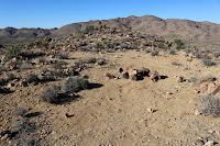 View north toward the summit of Negro Hill with Queen Mountain in the distance, Joshua Tree National Park