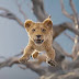 Novo filme da Disney, Mufasa: O Rei Leão, ganha trailer oficial | Trailer
