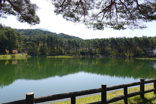 鳥取県西伯郡伯耆町丸山 大成池