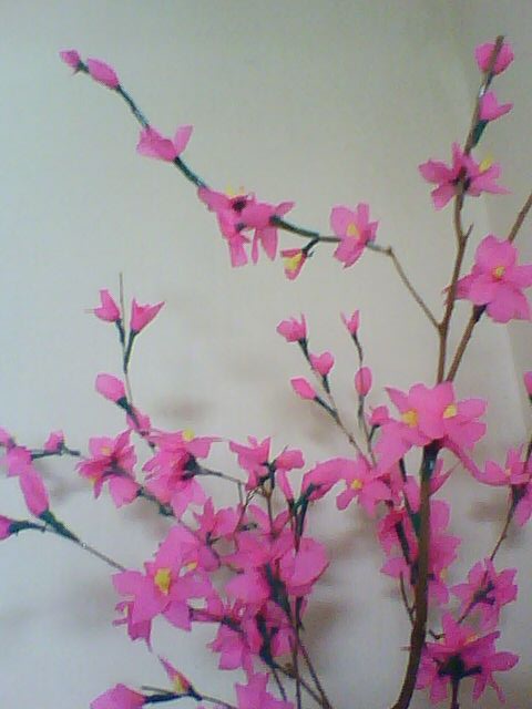 Cara Membuat  Bunga  Sakura  Dari  Kertas  Krep  Joy Studio 