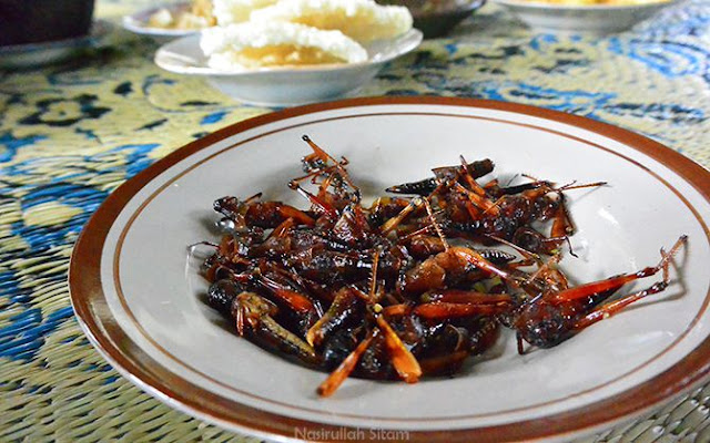 Belalang Goreng khas dari Gunungkidul 