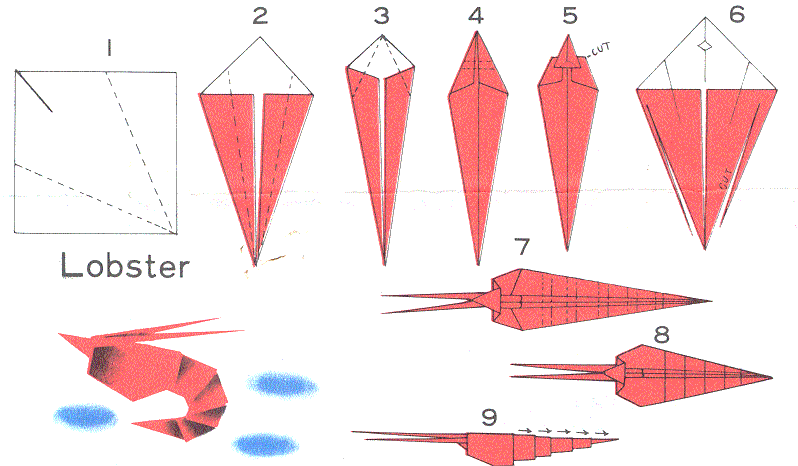 The82u Cara Membuat  Origami  Bentuk Hewan 