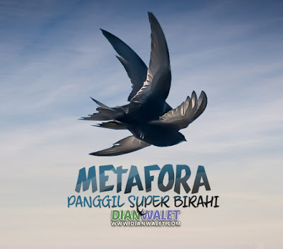 Suara Panggil (SP) Metafora