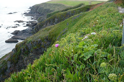 Lizard Peninsula