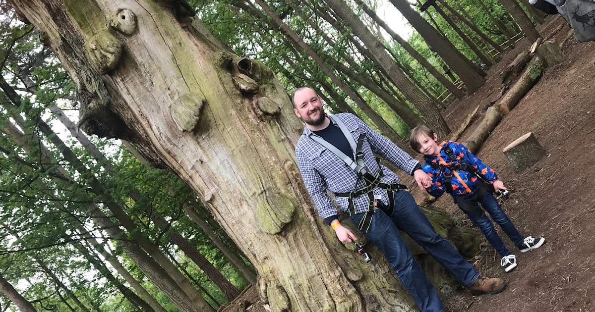 Our Tree Top Adventure At The New Go Ape Coombe Abbey Review To Become Mum