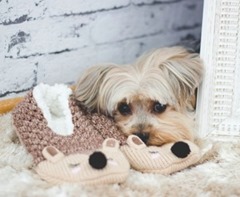 Cute-04 (2)