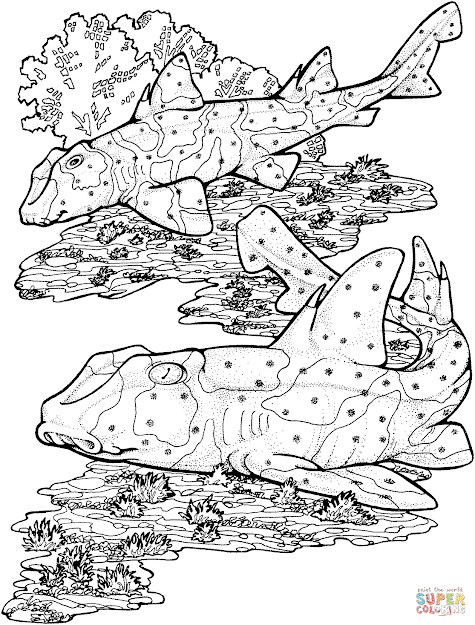 Click The Horn Sharks Coloring Pages To View Printable Version Or Color It  Online Patible With Ipad And Android Tablets