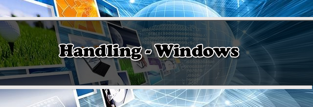 Handling Browser Windows using Python with Selenium