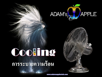 Cool off in our Nightclub Un Chiang Mai Gay Bar