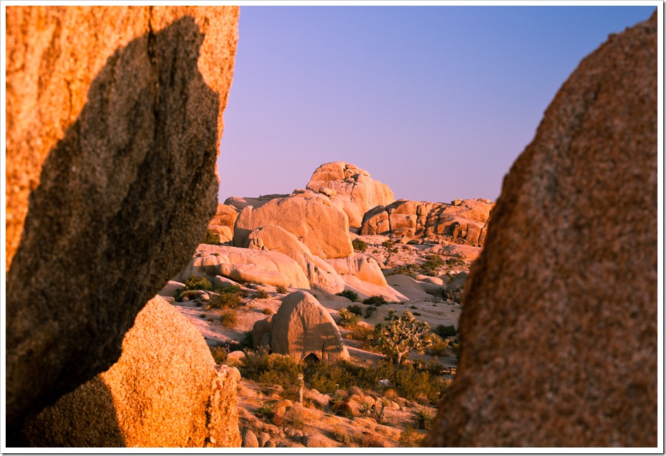 JoshuaTreeFacebook-125