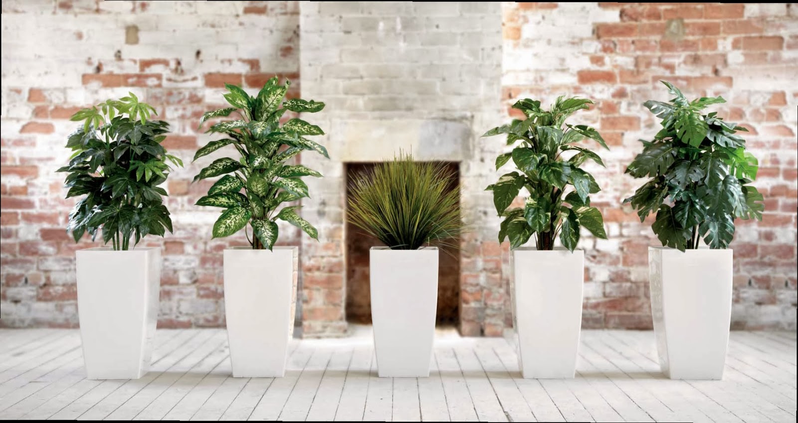 office furniture box replica plants