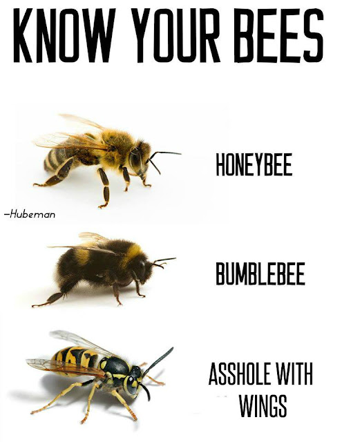 Know your bees...