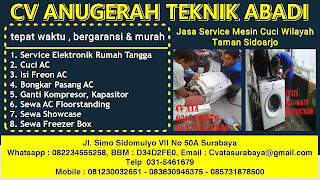 Jasa Service Mesin Cuci Wilayah Taman Sidoarjo 