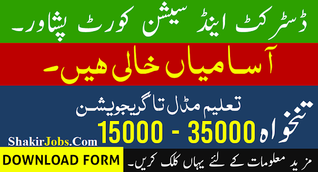 jobs in district and session court,district and session court,district and session judge peshawar jobs 2019,district and session court abbotabad jobs 2018-19,latest jobs in district and session court,district and session court jobs 55 vacancies for steno,district and sessions courts,jobs in peshawar,jobs in pakistan,latest jobs,district and session judge