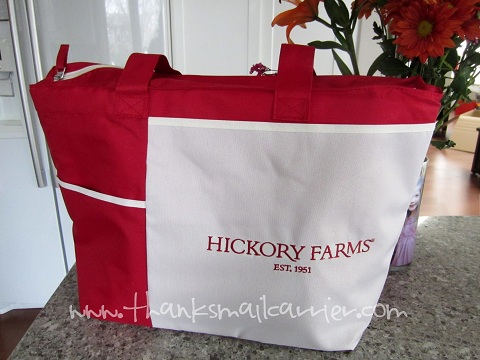 Hickory Farms Pack and Go Picnic Tote