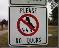 funny_sign_please_no_duck