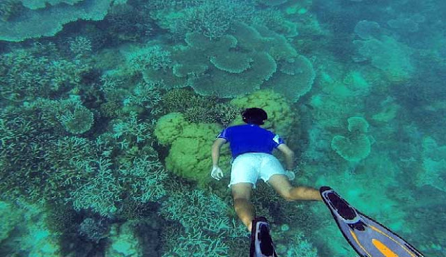 PULAU PEUCANG, SURGA TERSEMBUNYI DIUJUNG BARAT PULAU JAWA