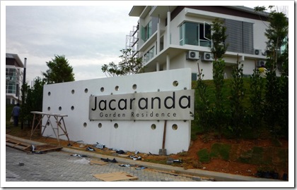 Jacaranda