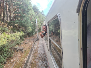 Foto asomando la cabeza por la ventanilla del tren