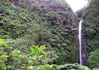 air terjun di jember