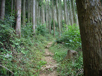 御岳山登山道