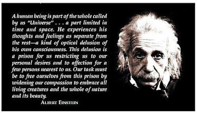 Albert Einstein Quote